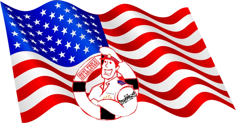 Illustration of a smiling mail carrier with the American flag waving behind.